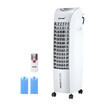 https://img.kcfoxking1.com.au/ebaypage/products_pictures/ebaytoken/29/371/371812_3346108_F.jpg