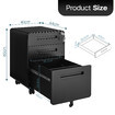 https://img.kcfoxking1.com.au/ebaypage/products_pictures/ebaytoken/29/379/379755_3427679_F.jpg